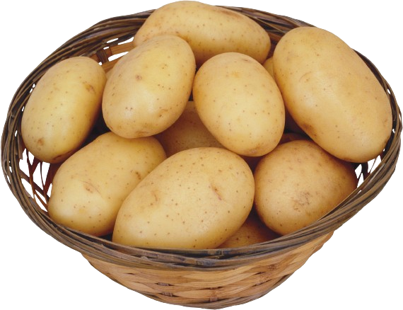 Patato